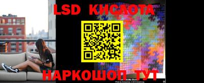 СК Донской