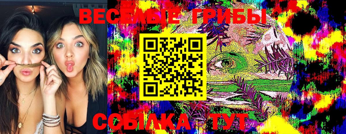 Псилоцибиновые грибы GOLDEN TEACHER  магазин    Ноябрьск  Вход с VPN  Галлюциногенные грибы мицелий 